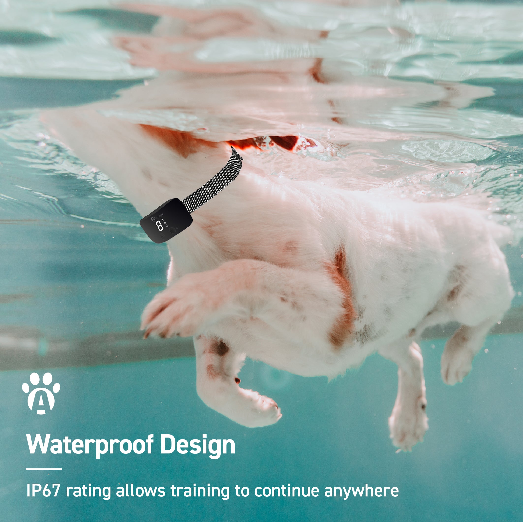 AnyPet Dog Bark Electronic Training Collar with Sound, Vibration and Static Modes, 7 Levels of Intensity, Soft Nylon Material, Easy-Snap Buckle, and Rechargeable Light-Up LED Display